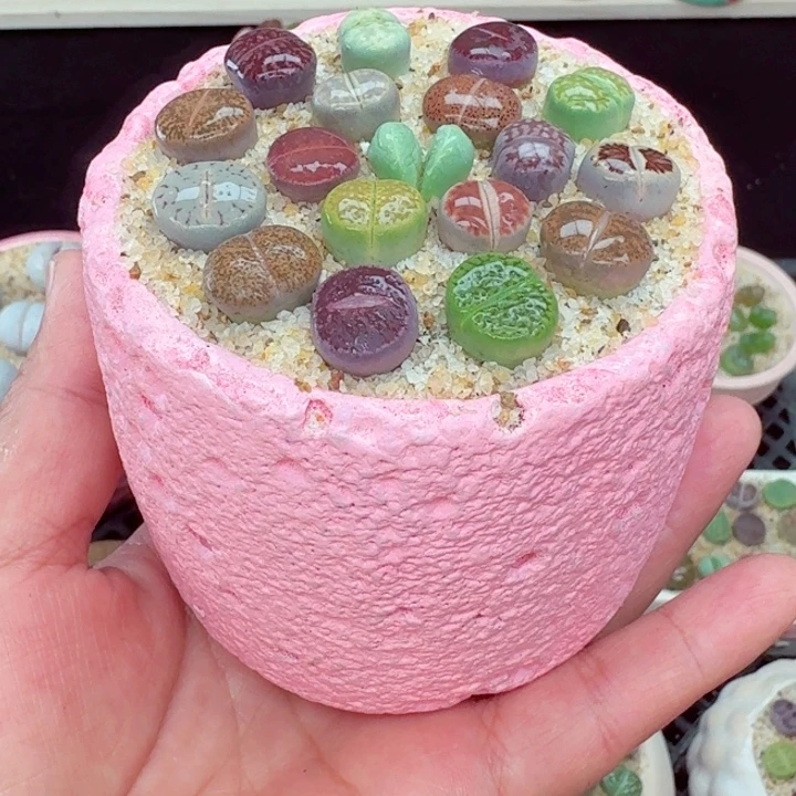 6030零下地区记得拍保温箱箱