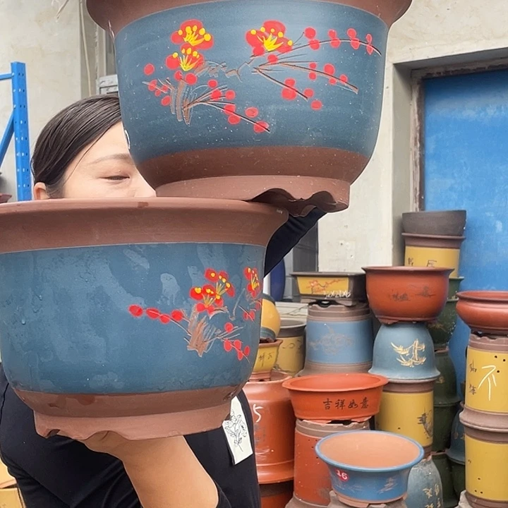 30+30蓝色点菜平角金钟花盆紫砂花盆紫砂