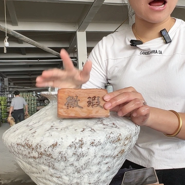 景德镇陶瓷花瓶工厂