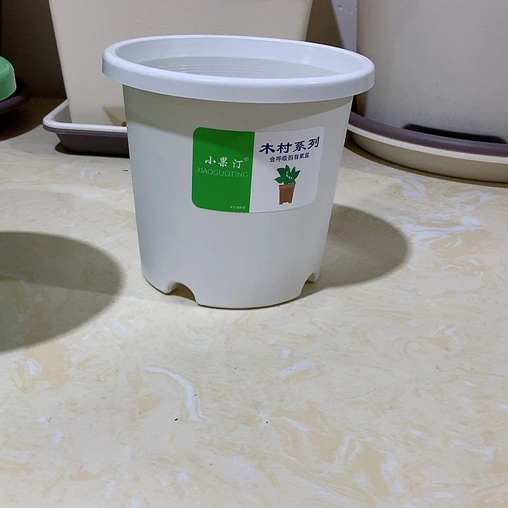 四季口15白10个无托