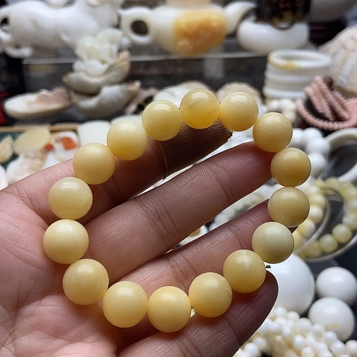 非金属贝壳全黄全品1.2单圈