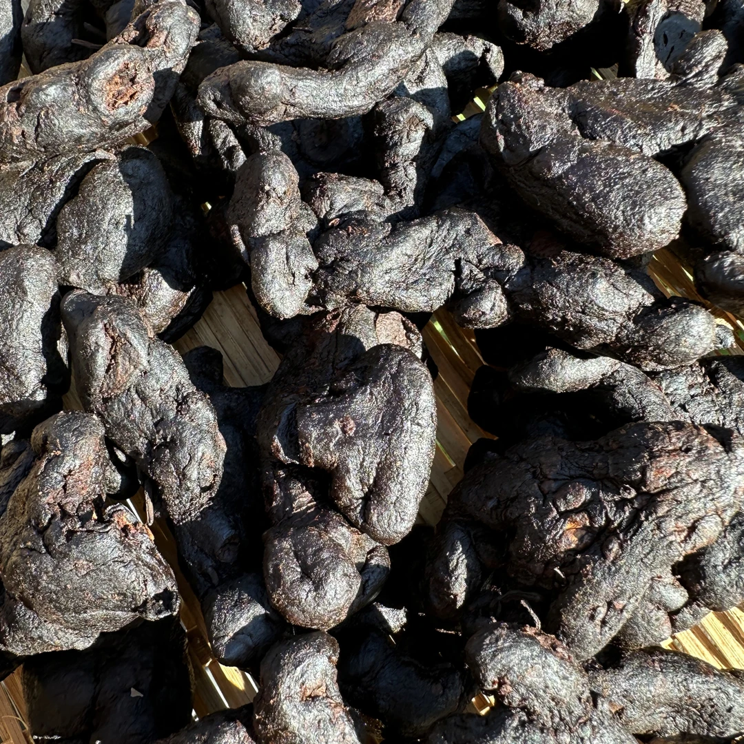 柴火 九蒸九晒 农村山货黄、米青茶.8