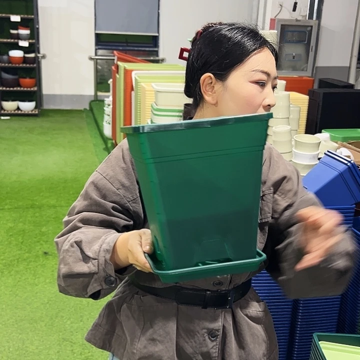 特价方盆口20高22墨绿5只带托