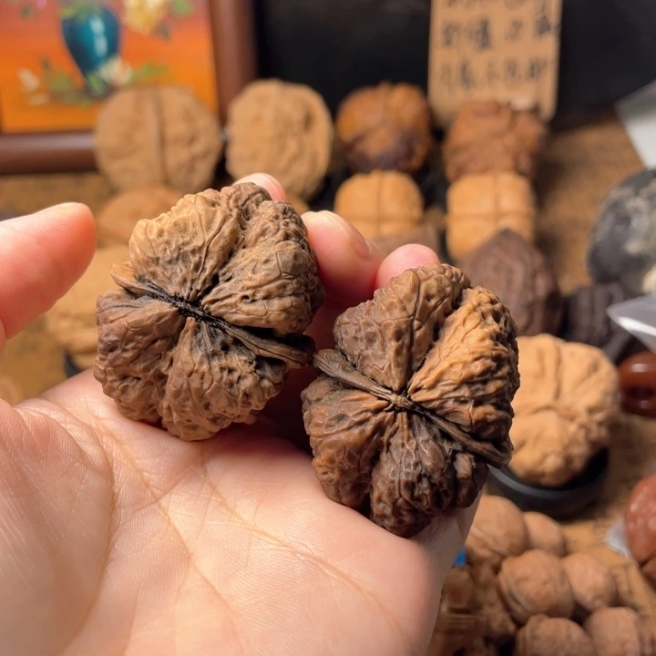 海***子云南野生铁核桃编号91