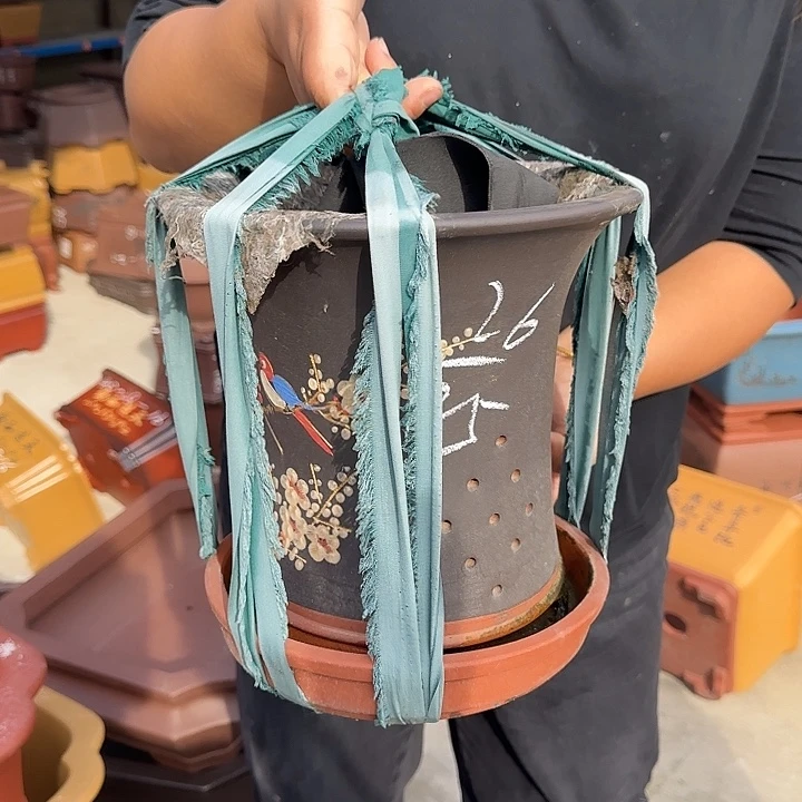 紫砂花盆真的要让他来