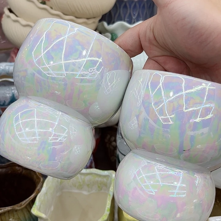 多肉植物陶瓷花盆