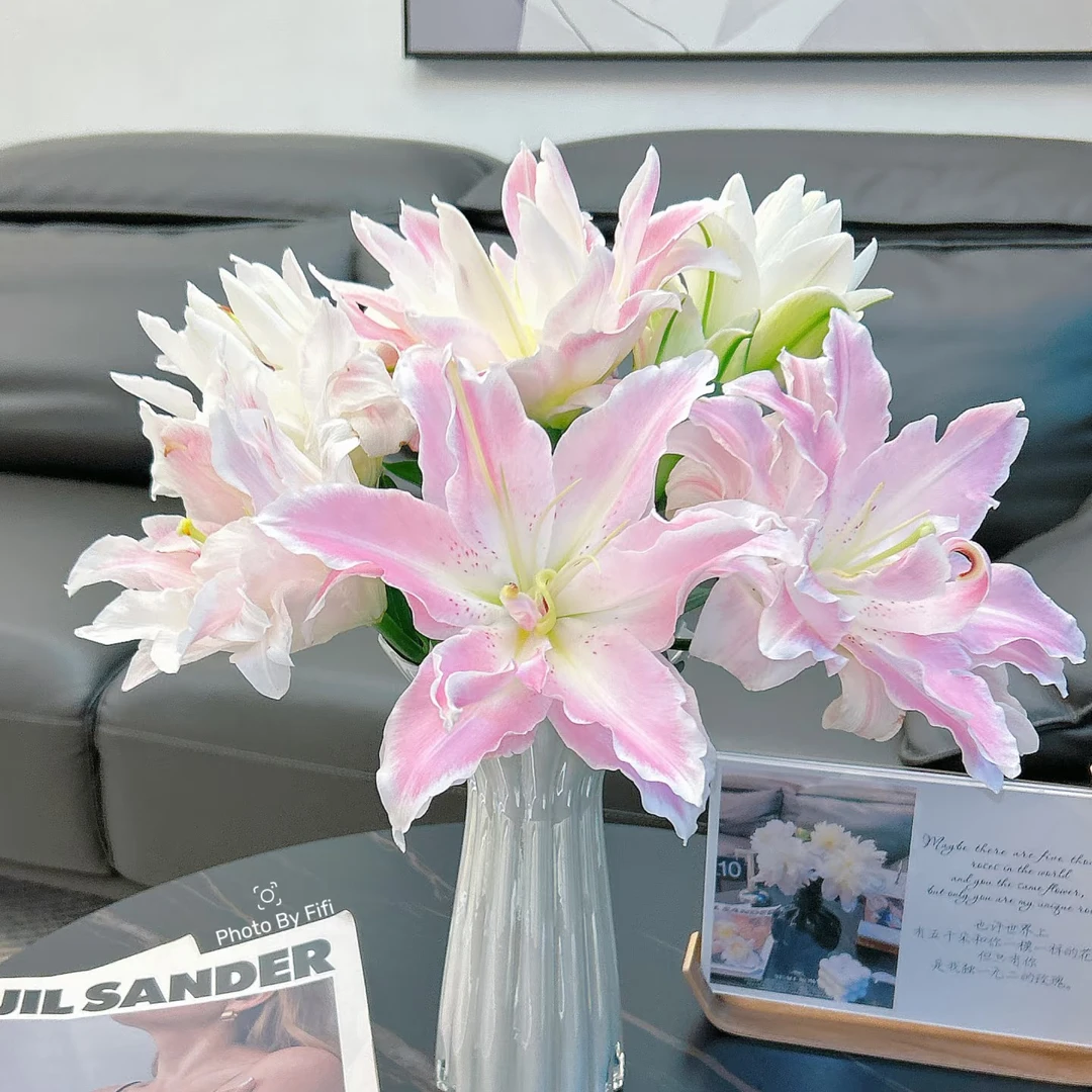 小粉公主(甜香型)香水百合重瓣东北基地直发新鲜10枝装室内鲜切花