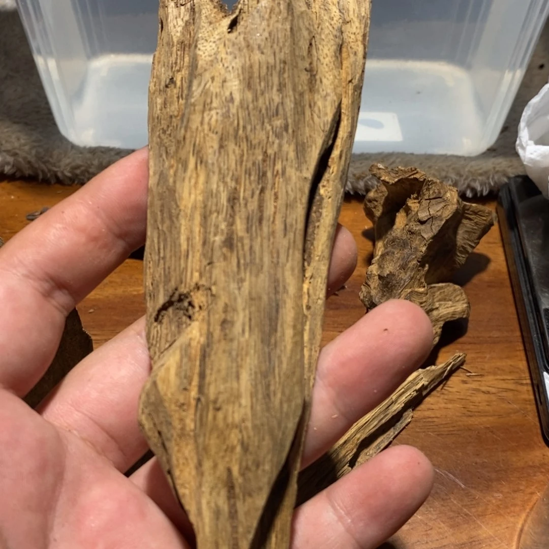 吊坠沉香海南天然野生海南