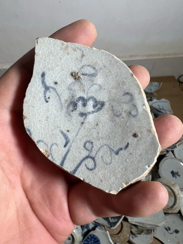 青花灵芝云瓷片标本