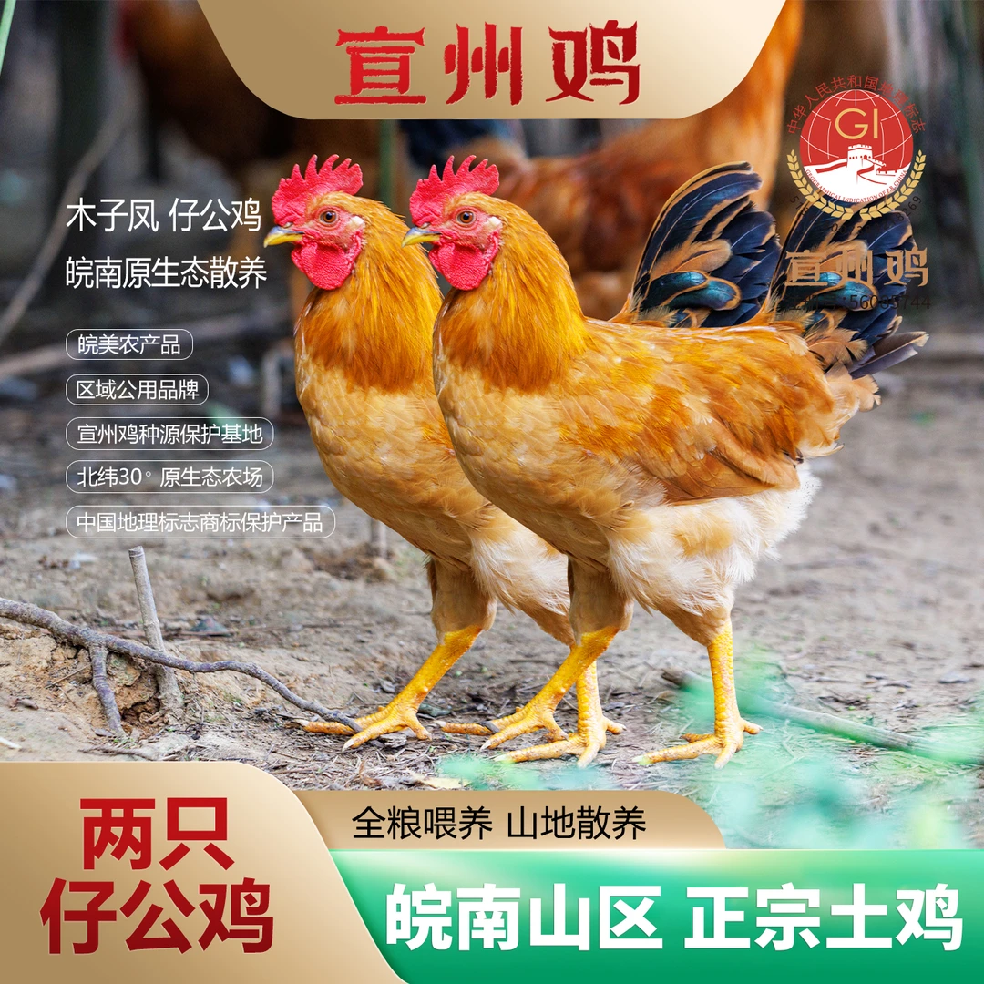 木子凤宣州鸡 仔公鸡2只装 生态纯散养全粮喂养 冰鲜 顺丰包邮