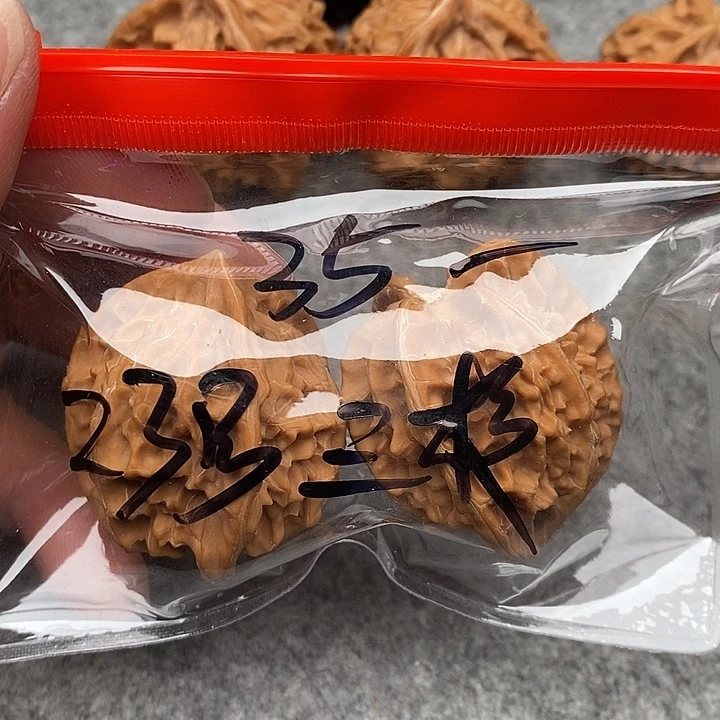 @***杨文玩核桃吊坠三棱