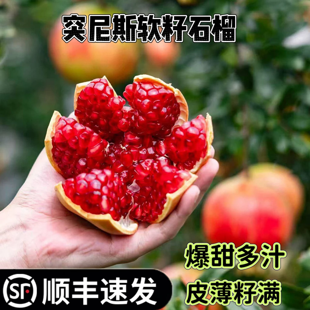 【顺丰包邮】四川会理软籽石榴新鲜现摘皮薄饱满汁水充足网红水果