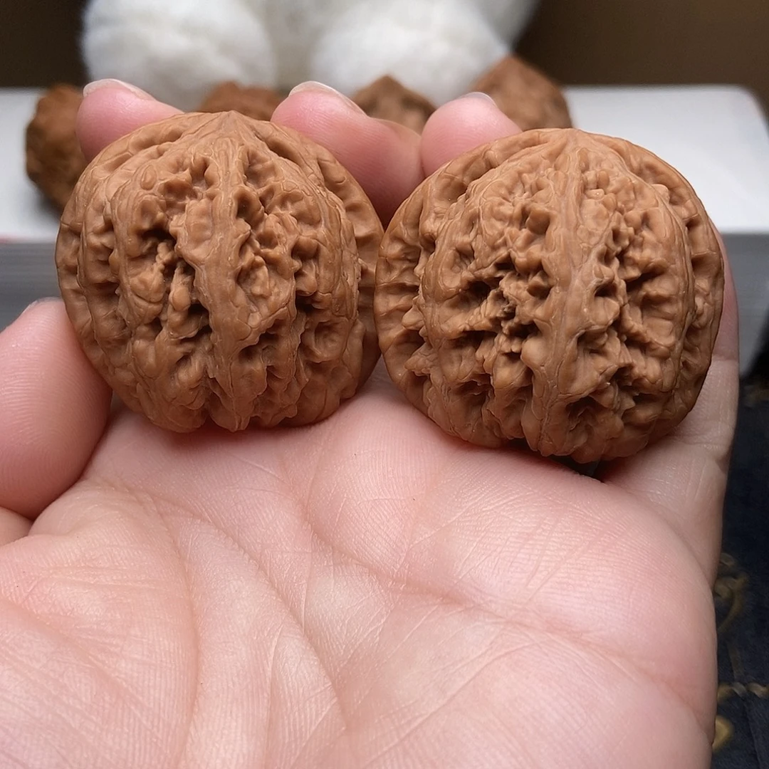 41尺全品粗筋狮子头