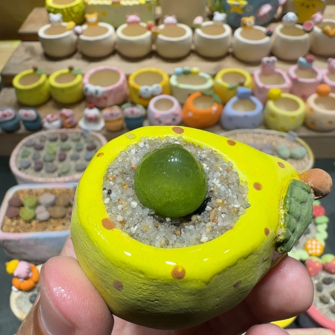 蘑菇1135灯泡多肉植物