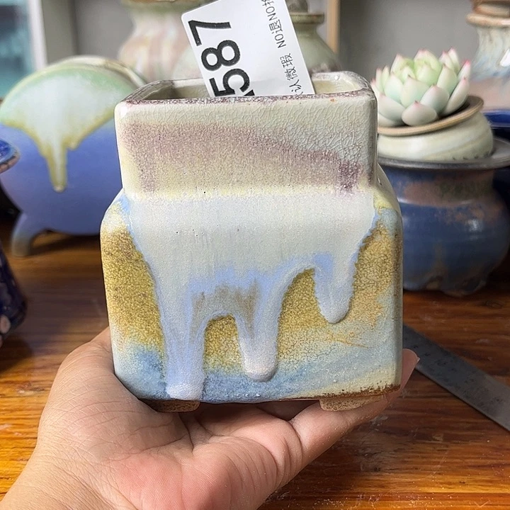 重庆小燕子欢迎大家587