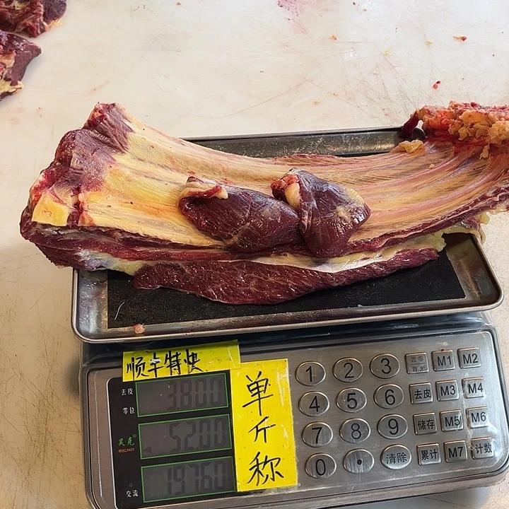 超***琴18中国大陆对符合门口
