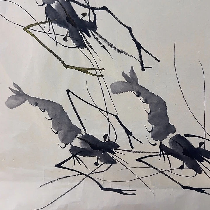 纸本展示作品作品展示