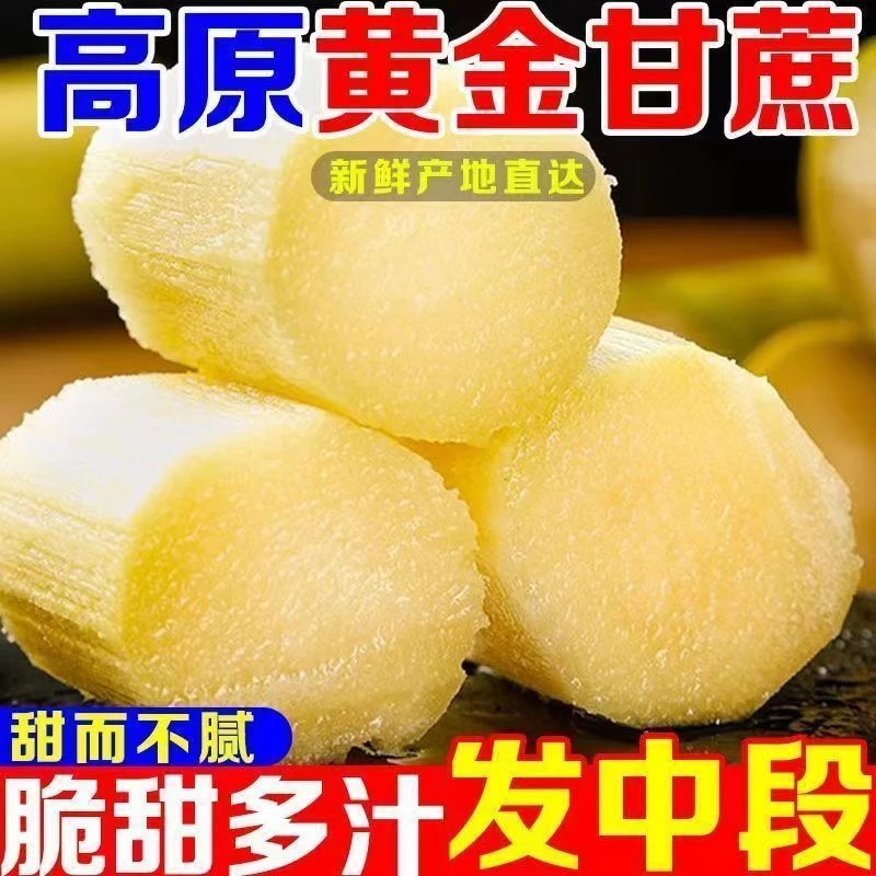 【黄金甘蔗】云南特产现砍黄皮甘蔗手撕黄金甘蔗批发水果特产脆甜