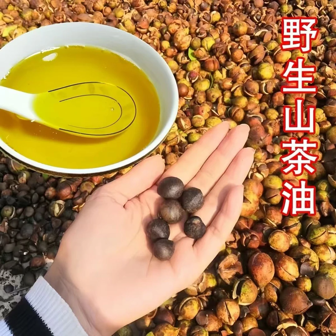 【田寨主】山茶油茶籽油高山本地茶籽