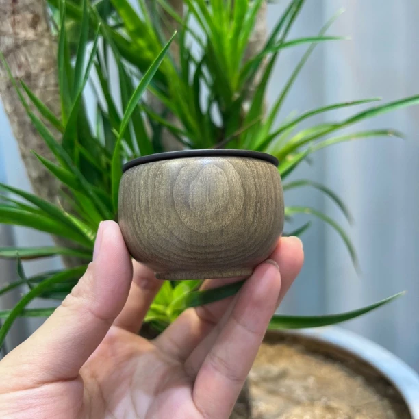 阴沉金丝楠木茶杯个人专用主人杯酒杯整料掏空木质紫砂杯正品乌木