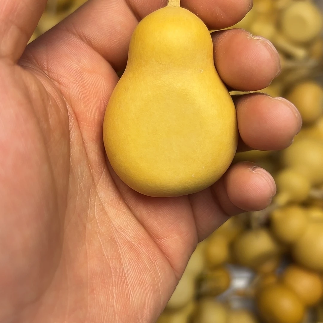 16 葫芦不退不换无客服售后