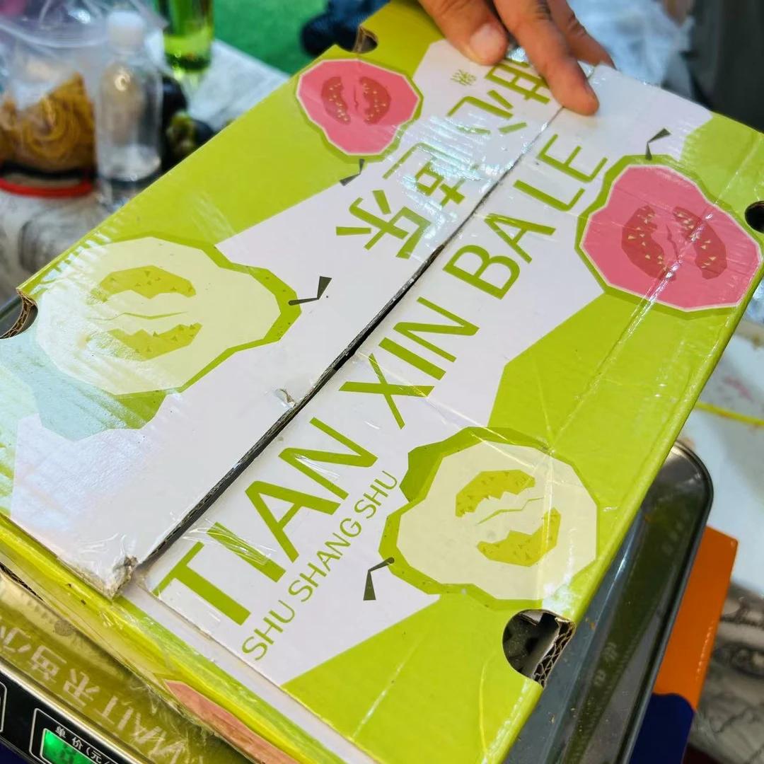 甜心树上熟芭乐约2800g/箱