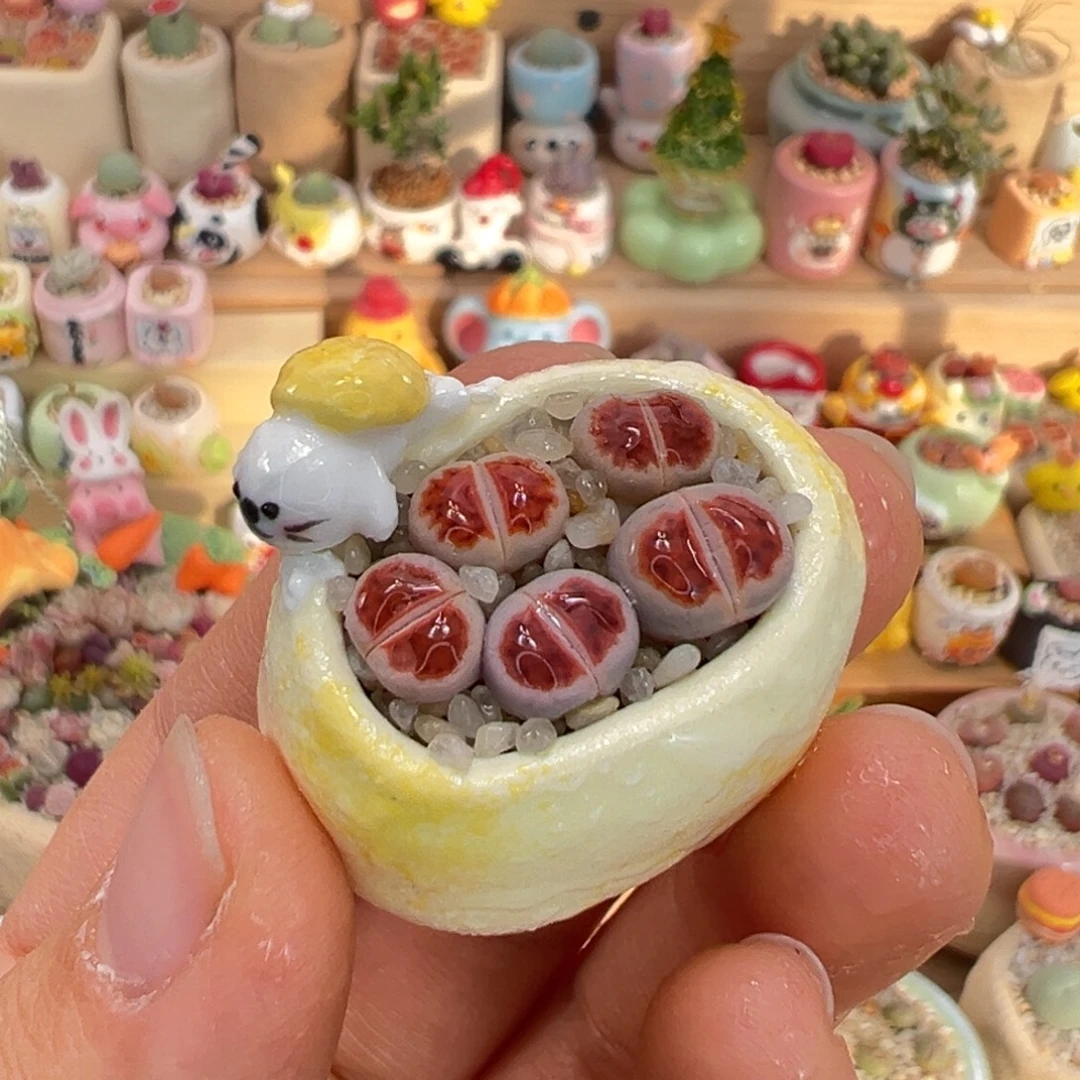 多肉植物19号红色