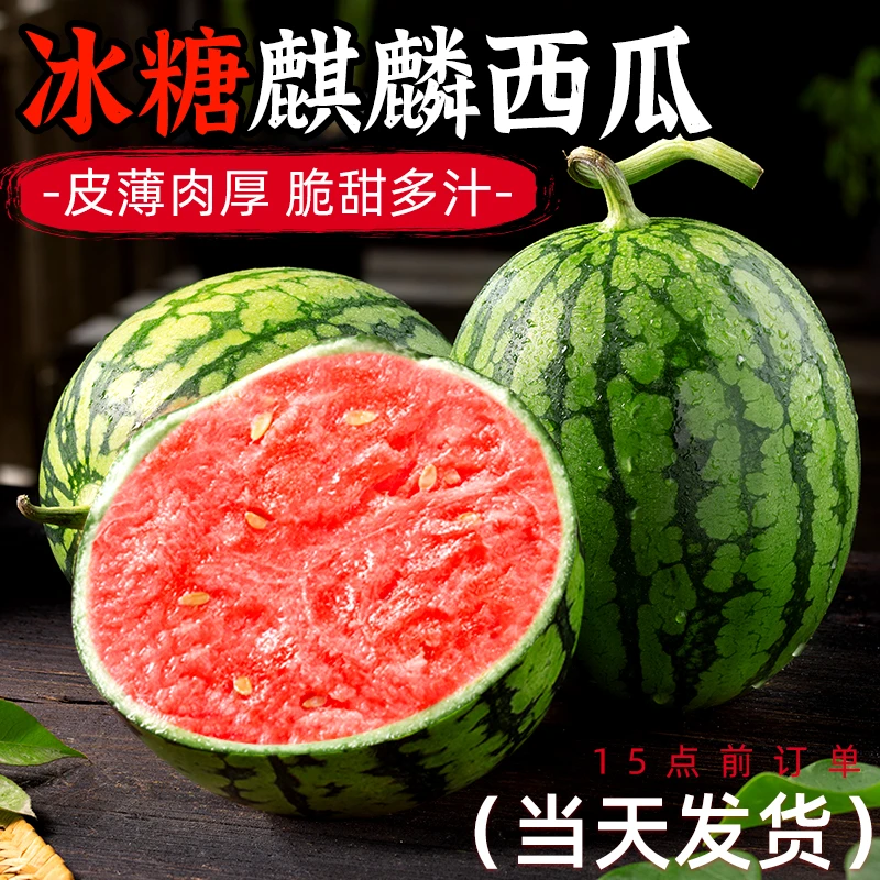 麒麟瓜当季新鲜水果甘美薄皮西瓜美都8424大果整箱包邮无籽西瓜