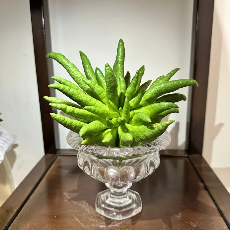 川馥四川原产佛手柑佛手果新鲜采摘现摘现发精品果实闻香清供观赏