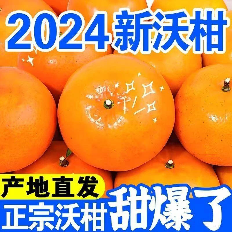 广西武鸣沃柑当季新鲜水果产地直发现摘现发整箱大果香甜多汁桔子