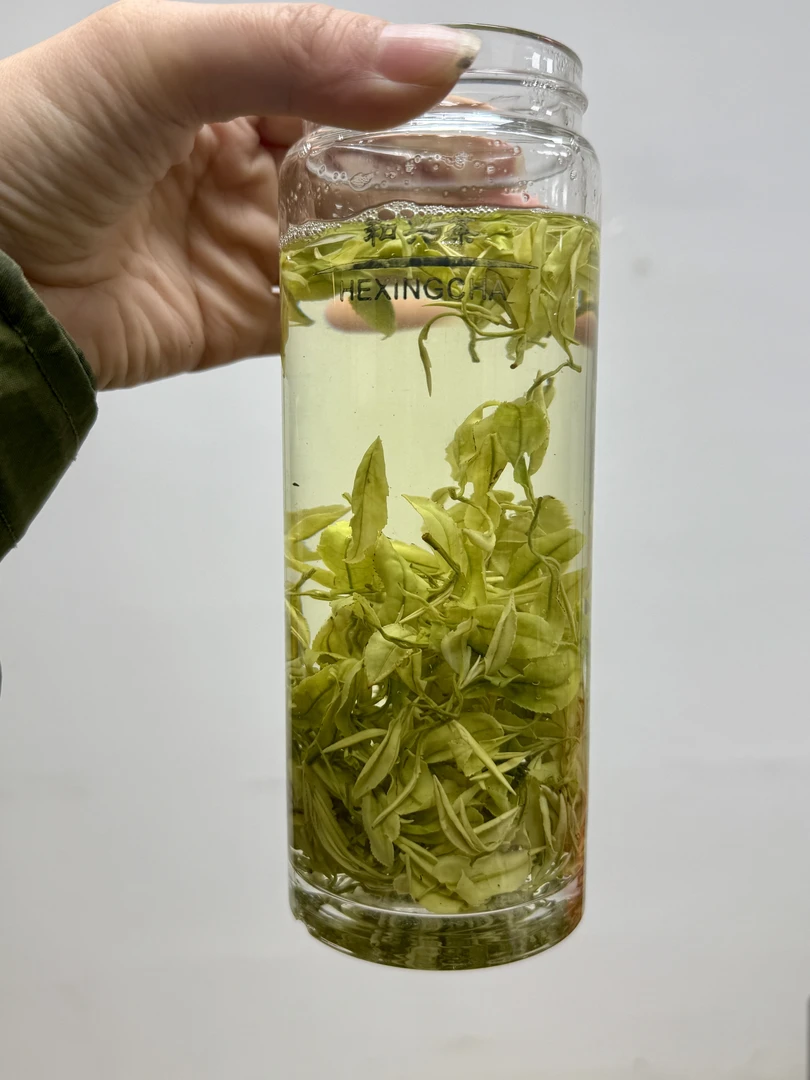 沁河湾【手工熊猫乃白黄金芽】2025年春茶奶香安吉溪龙手工制作