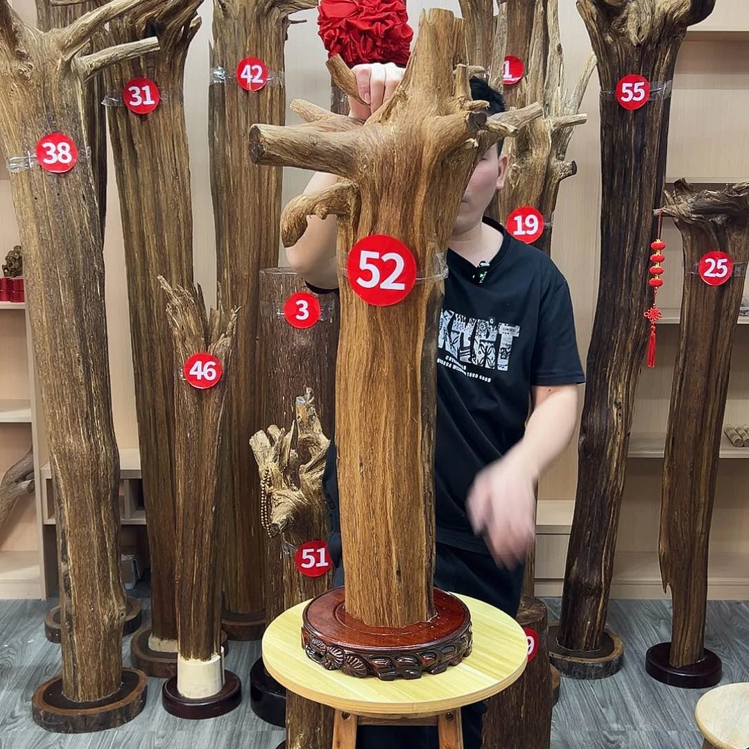 沉香碎屑沉香沉香