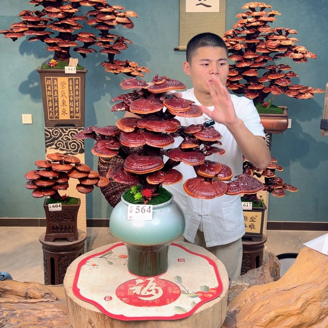 无花朵988888888888