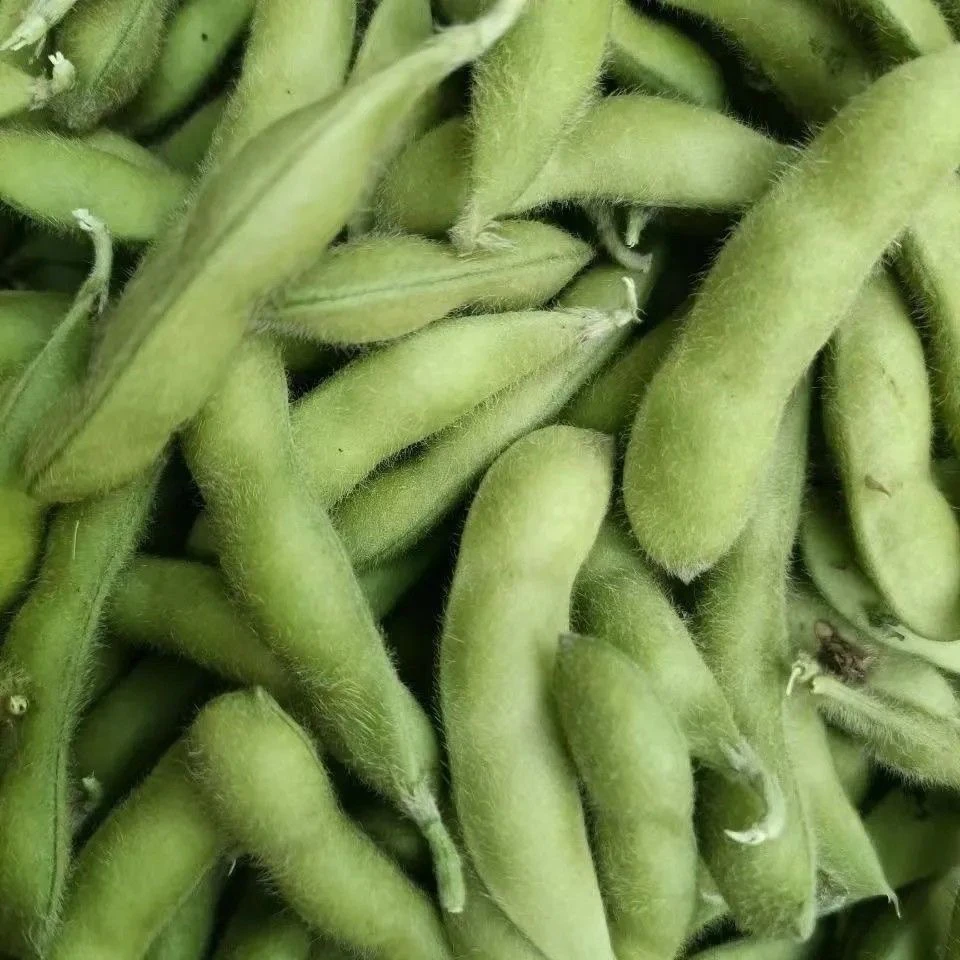 河南固始新鲜带壳毛豆现摘现发颗颗饱满毛豆豆大鲜嫩