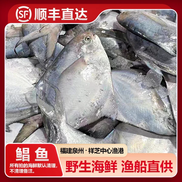 福建海鲜 鲳鱼 亚婷海鲜