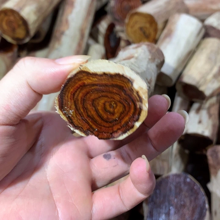 花梨木类海南黄花梨