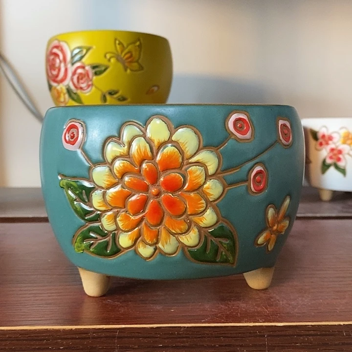 韩式多肉植物花盆