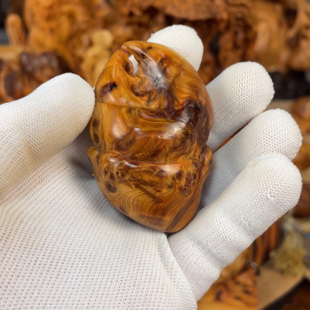 柏木（崖柏）太行崖柏