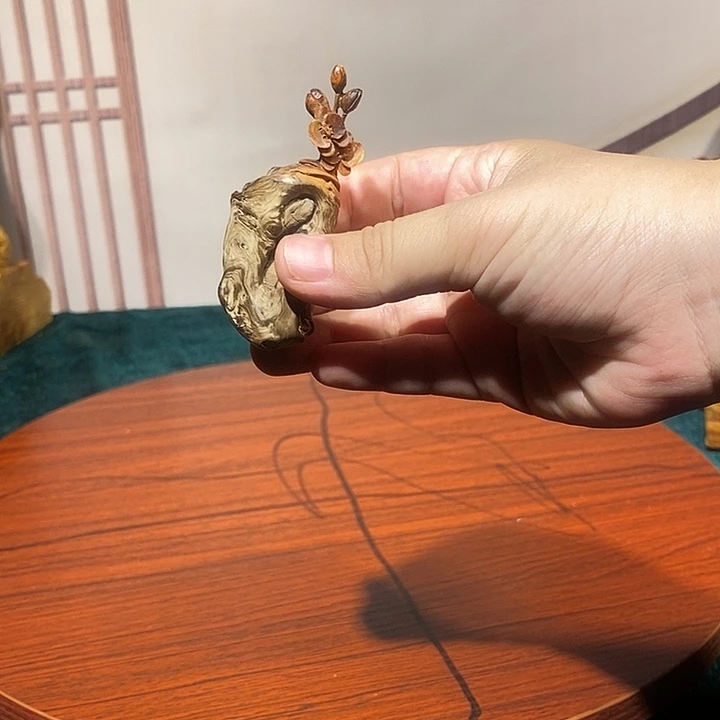 漆***阁柏木新人直播一物一拍