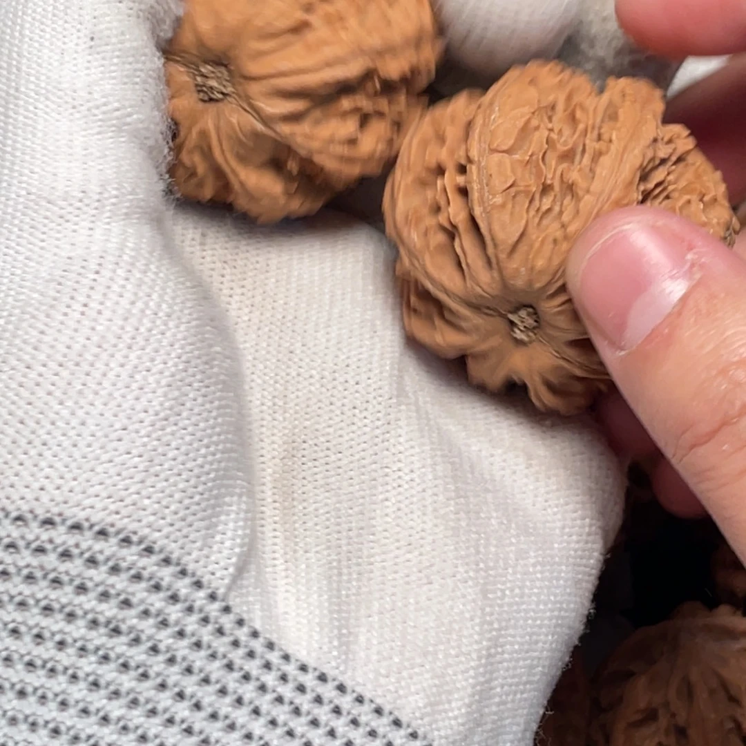 深***海桃核把件1 秦岭灯笼野生小众