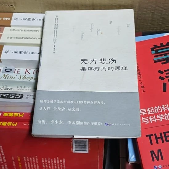 无地悲伤集体行为的原理书衣微瑕