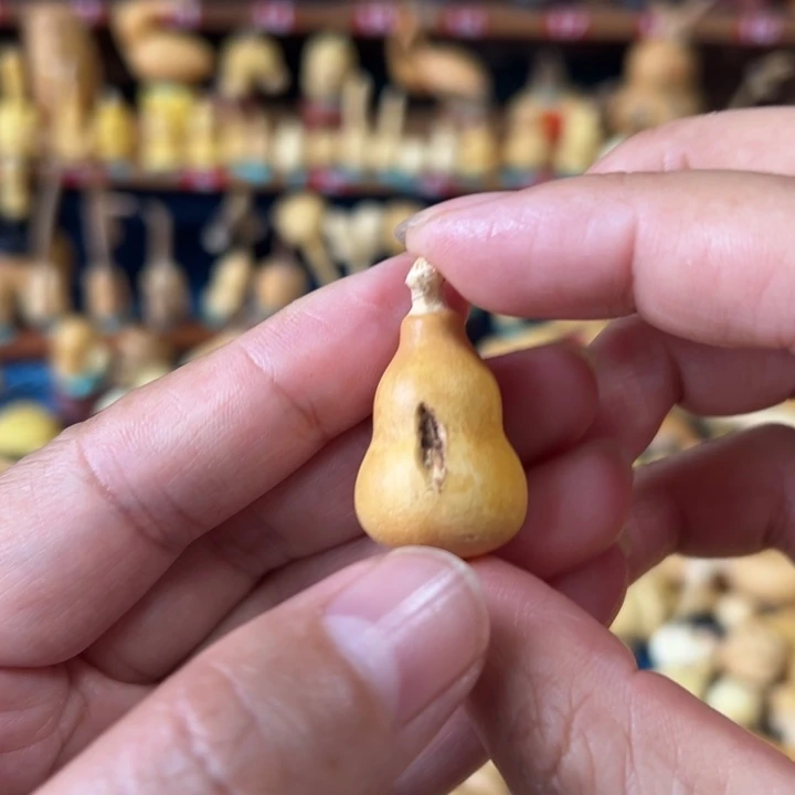悲***豆葫芦娃重力此刻开烂漫哈哈
