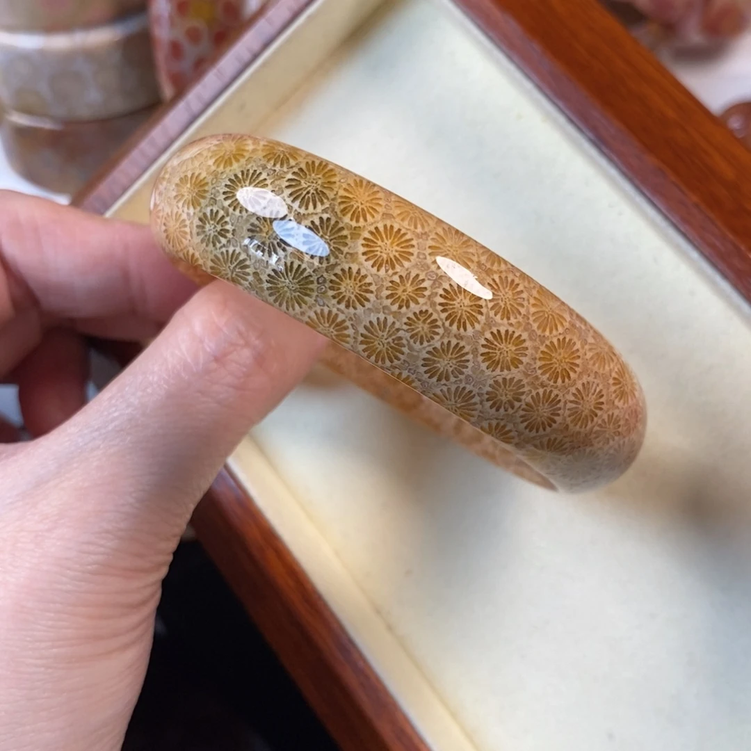 硅化珊瑚（珊瑚玉）未镶嵌手镯57.4口500