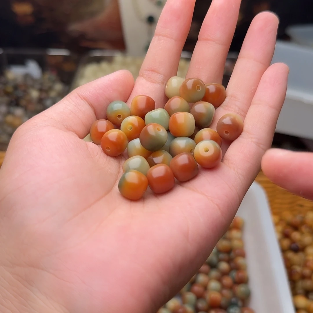 吊坠菩提根/象牙果50颗风吹半夏11桶