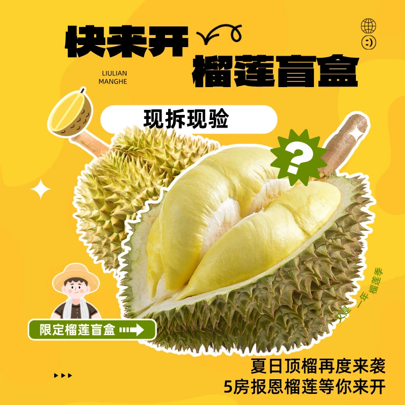 【 双十一  果肉】泰国树熟金枕榴莲 一果一重 鲜榴莲核小 哈尔滨同城小时达金枕泰国