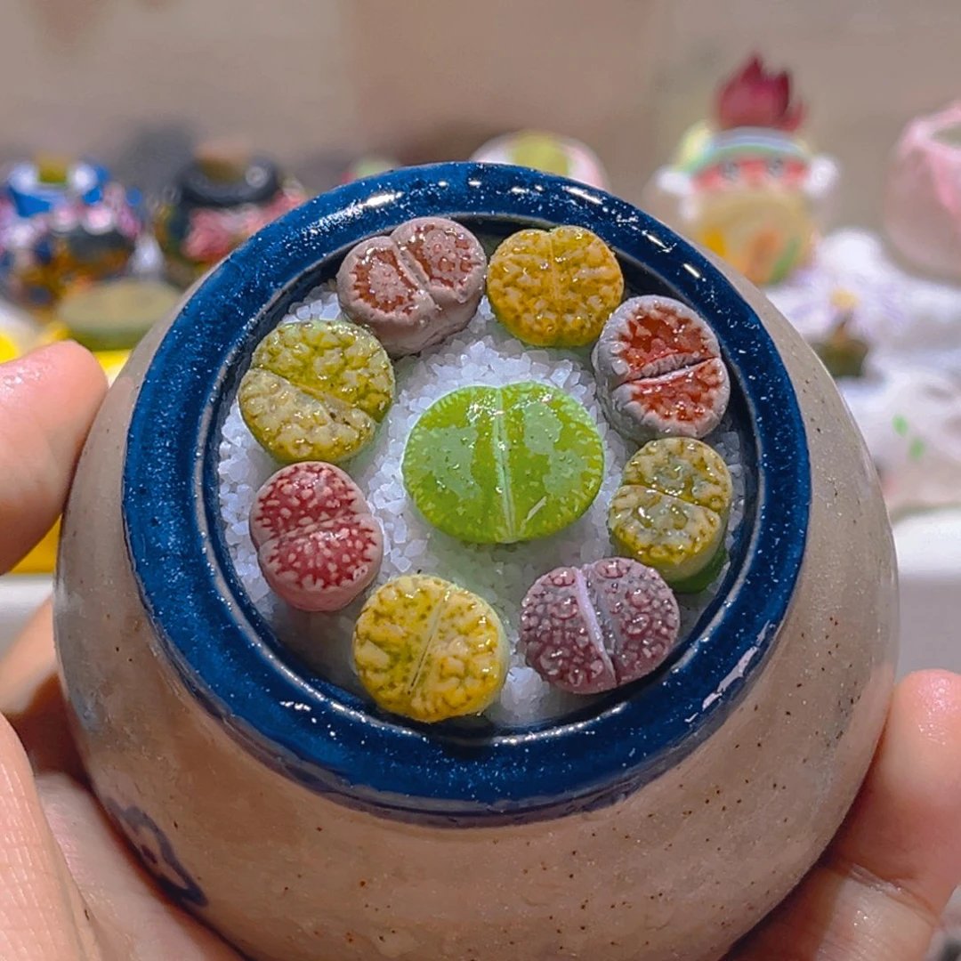 倪*倪妮宝宝专属链接