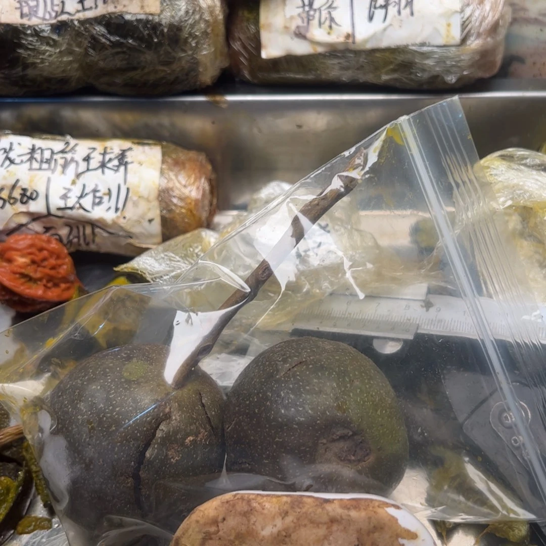 四***ㅤ出回家就不能进扭扭捏捏家