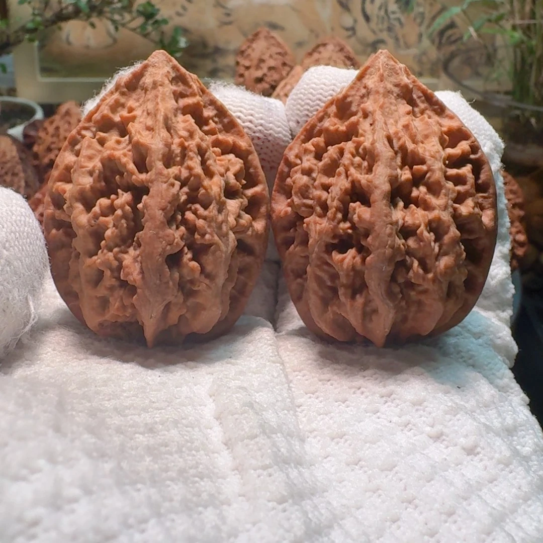 文玩核桃吊坠蚂蚁王朝