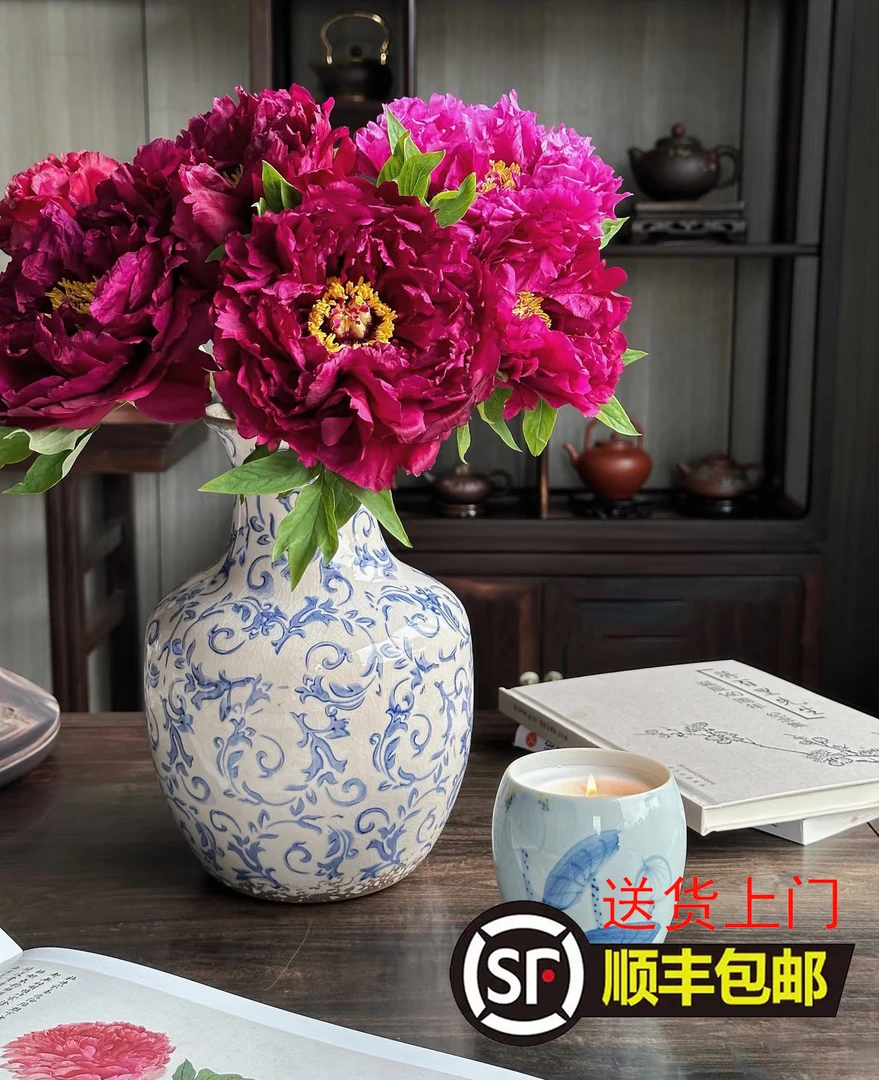 现货-墨润绝伦-进口牡丹-山东重瓣牡丹鲜花大芍药鲜切花家庭插花
