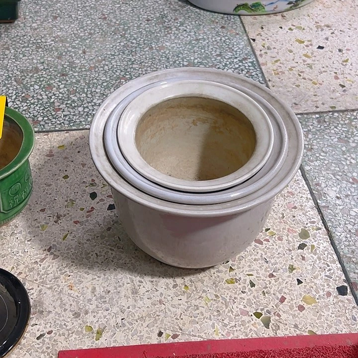 红陶净*。。。。。。。。。。。